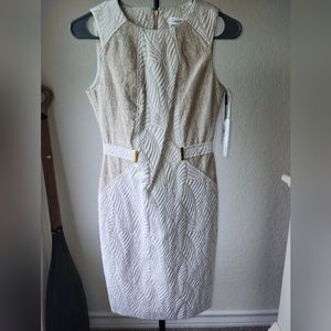 Calvin Klein Dress